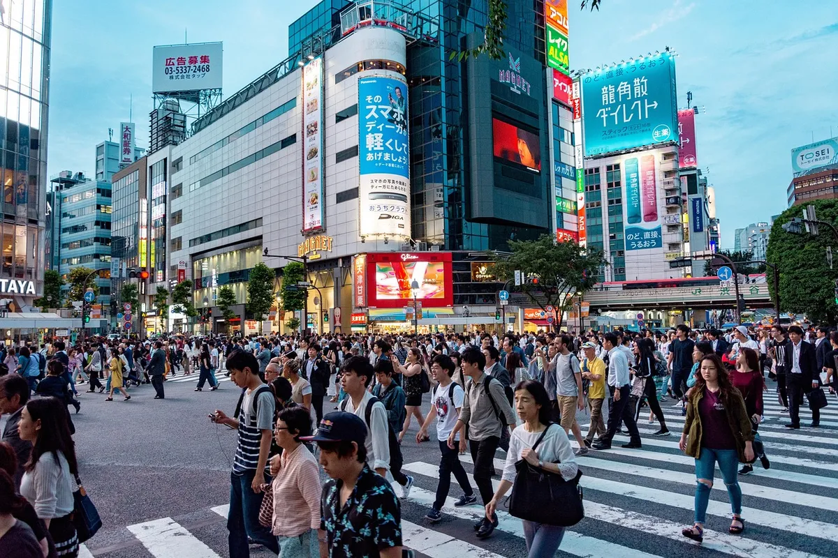 日本の旅行、自然、アジア、植物、建築、東京、日本、光、ビル、都市、人気、忙しい、道路、日本、日本、日本、東京、東京、東京