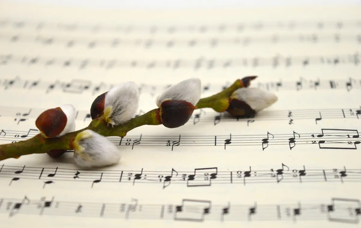 willow catkin, kitten, branch, easter, sheet music, music, easter song, easter greeting, easter theme, catkins, grades, kitty branch, songs, to sing, choir, mel